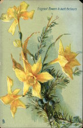 Fragrant Flowers to Mark the Hours -- Daffodils Postcard Postcard