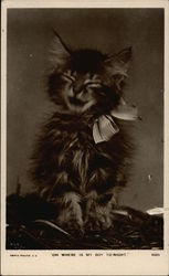 Meowing Kitten with a Bow Postcard