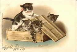 Best Wishes with a box full of Kittens Cats Postcard Postcard