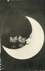 Portrait of Kittens on a Paper moon Cats Postcard Postcard