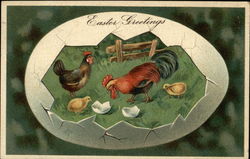 Easter Greetings with Chickens and Cracked Eggs Postcard