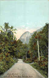 Eagle Cliff On Profile Road, Franconia Notch White Mountains, NH Postcard Postcard