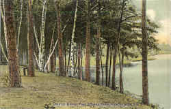 One The Bank, Pine Island Park Postcard