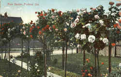 Rose Garden Portland, OR Postcard Postcard