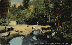 Duck Pond Portland, OR Postcard Postcard