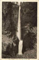 Multnomah Falls Scenic, OR Postcard Postcard