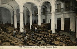 Warehouse of Leaf Tobacco Havana, Cuba Postcard Postcard