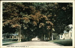 Post Road White Plains, NY Postcard Postcard