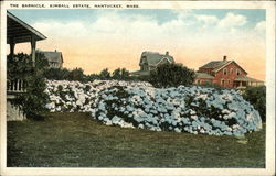 The Barnicle, Kimball Estate Nantucket, MA Postcard Postcard