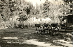 Murphy's Resort Guerneville, CA Postcard Postcard