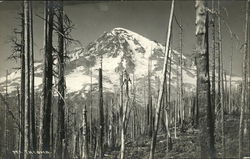 Mt. Tacoma Washington Postcard Postcard