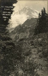 Mt. Tacoma from Indian Henry's Trail Postcard