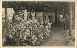 Tents, Camp Curry Yosemite National Park Postcard Postcard