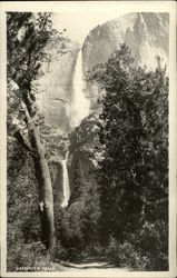 Yosemite Falls Postcard