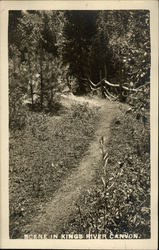 Scene in Kings River Canyon, Camp Kanawyer California Postcard Postcard