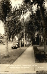 Tropical Walk Ringling Blvd Postcard