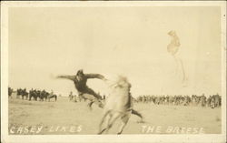 Casey Likes the Breeze Rodeos Postcard Postcard