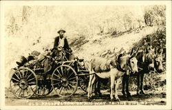 Old Prospector on his way to the Diggins Postcard