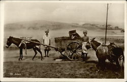 Children With Donkeys and Cart Aden, Yemen Middle East Postcard Postcard