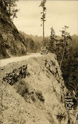 On the Redwood Highway California Postcard Postcard