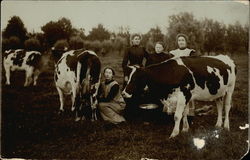 Women Milking Cows Cows & Cattle Postcard Postcard