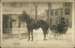 Horse Drawn Sleigh Horse-Drawn Postcard Postcard