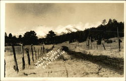 White Mountain Postcard