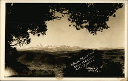 White Mountain New Mexico Postcard Postcard