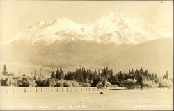 View of Mt. Shasta Mount Shasta, CA Postcard Postcard