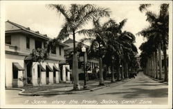 A Scene Along the Prado Balboa, Panama Postcard Postcard