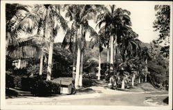 Entrance, Ancon Hospital Grounds Panama Postcard Postcard