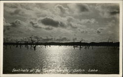 Sentinels of the Former Jungle, Gatun Lake Postcard