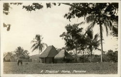 A Tropical Home Postcard