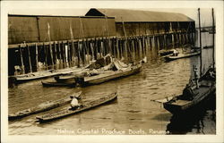 Native Coastal Produce Boats Panama Postcard Postcard