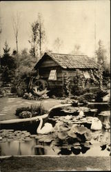 The Old Mill Garden, Horticulture Exhibit Postcard