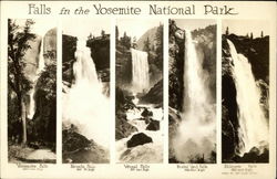 Falls in the Yosemite National Park Postcard