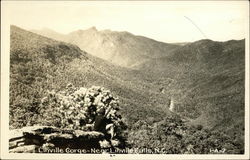 Linville Gorge Postcard