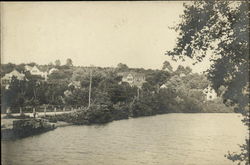 Pond near Cox Street Postcard