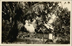 Native "Home Sweet Home" Panama Postcard Postcard