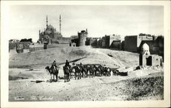 The Citadel Cairo, Egypt Africa Postcard Postcard