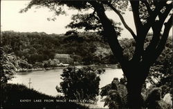 Kandy Lake from Wace Parks Ceylon Southeast Asia Postcard Postcard