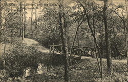 Rustic Foot Bridge Near the Lake Lakewood, NJ Postcard Postcard