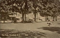 The Park Westfield, NY Postcard Postcard