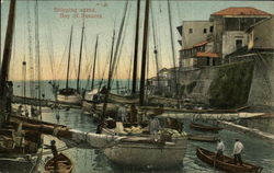 Shipping Scene Postcard