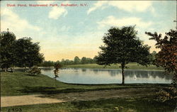 Duck Pond at Maplewood Park Rochester, NY Postcard Postcard