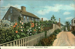 Ash Lane Nantucket, MA Postcard Postcard