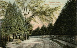 Danforth Street near Insane Asylum Taunton, MA Postcard Postcard