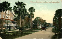 Palmetto Street and Ivy Lane Inn Postcard