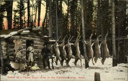 Result of a Three Days' Hunt Flathead Valley, MT Postcard Postcard