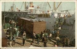 Unloading Bananas From Steamer Steamers Postcard Postcard